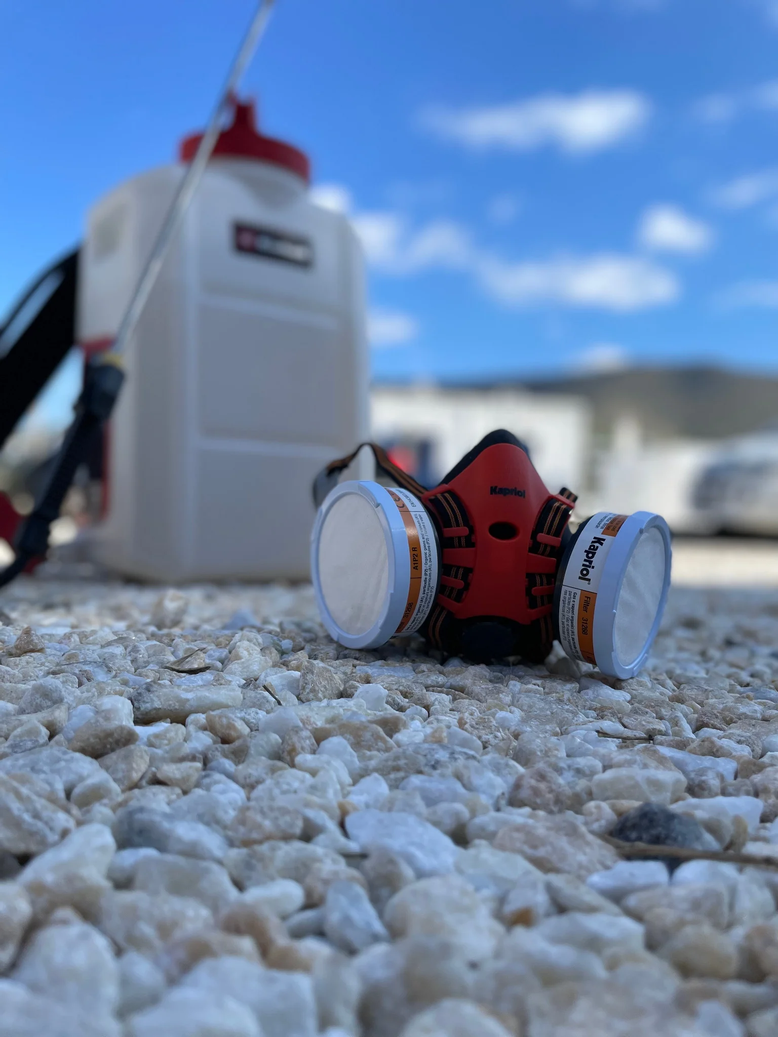 Professional pest control services - mask disinfection treatment